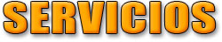 servicios
